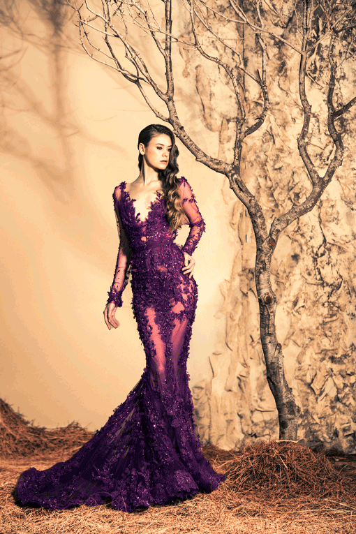 Stunning Evening Dresses By Ziad Nakad   Fall/Winter 2014/2015