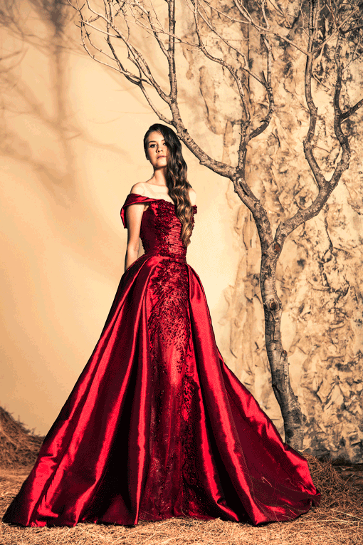 Stunning Evening Dresses By Ziad Nakad - Fall/Winter 2014/2015 ...