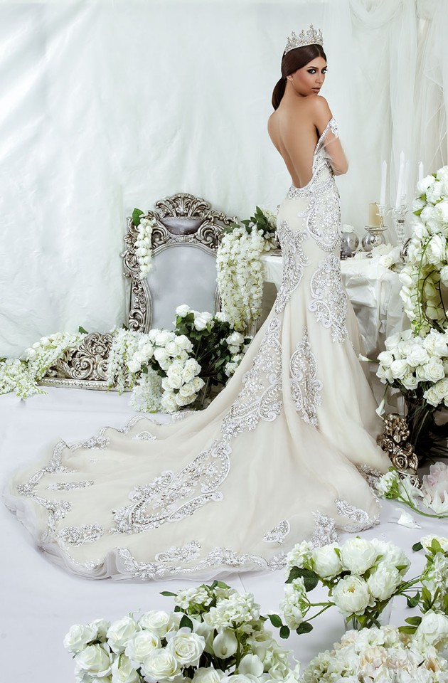 Glamorous Wedding Dresses By Dar Sara