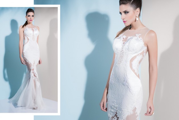 Glamorous Evening Dresses   Lia Rabello 2015
