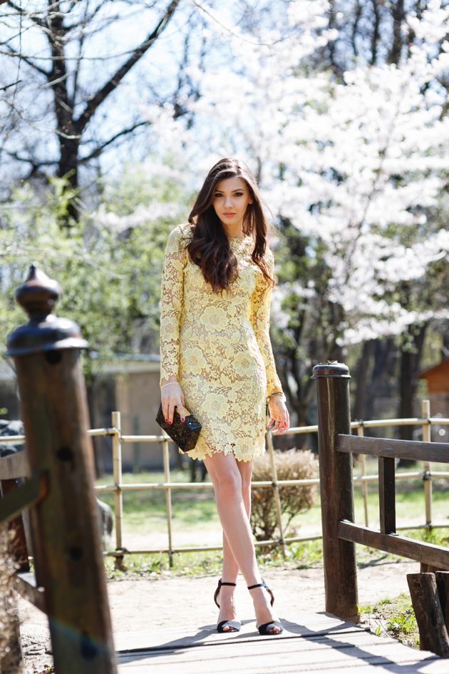 Lace Dress   The Must Have Dress For Every Womans Wardrobe
