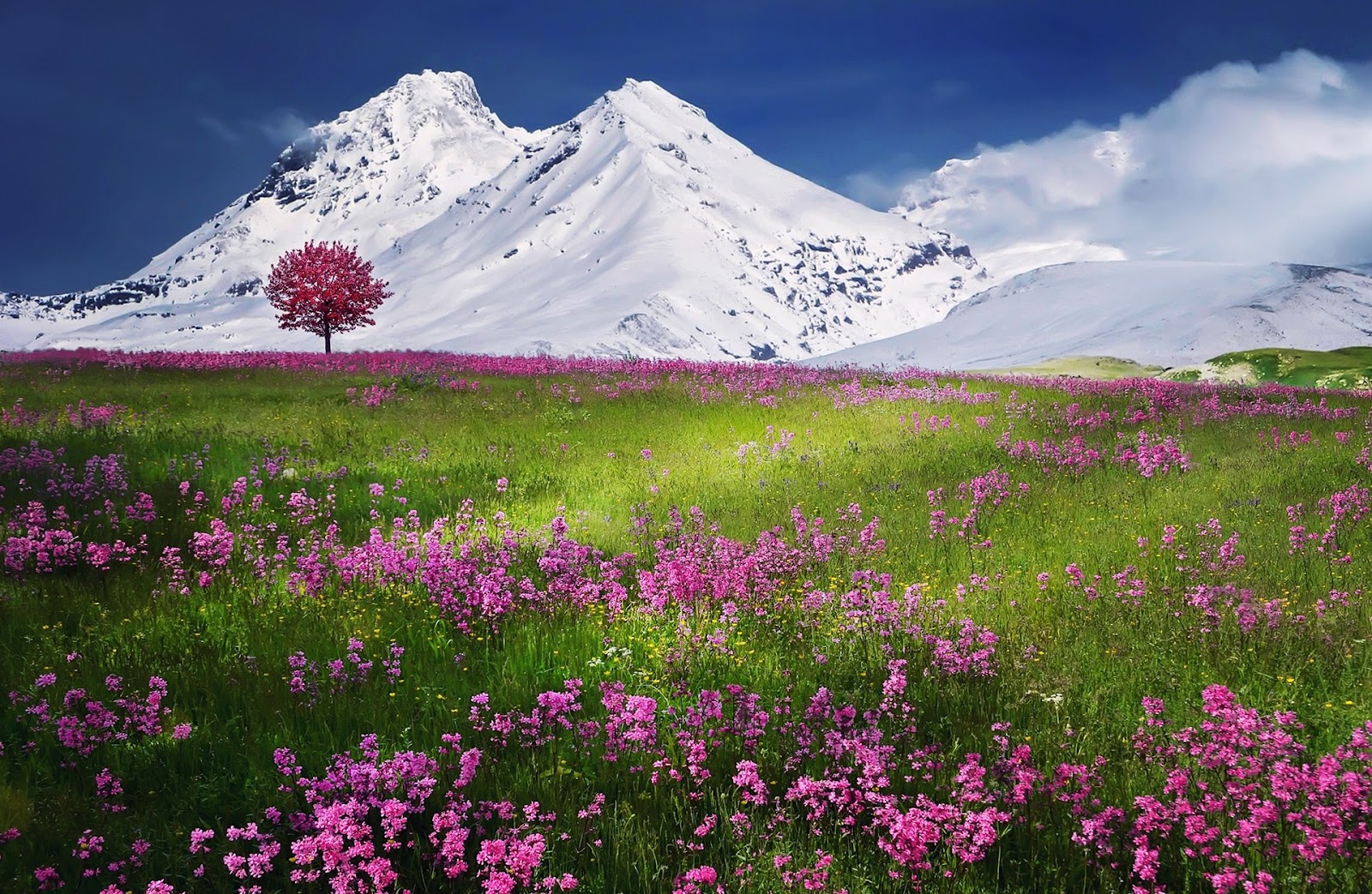 Palette of the Seasons: Embracing Nature’s Trending Colors
